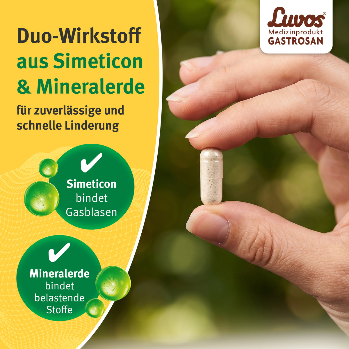 Luvos® Gastrosan Blähungen & Schmerzen Kapseln