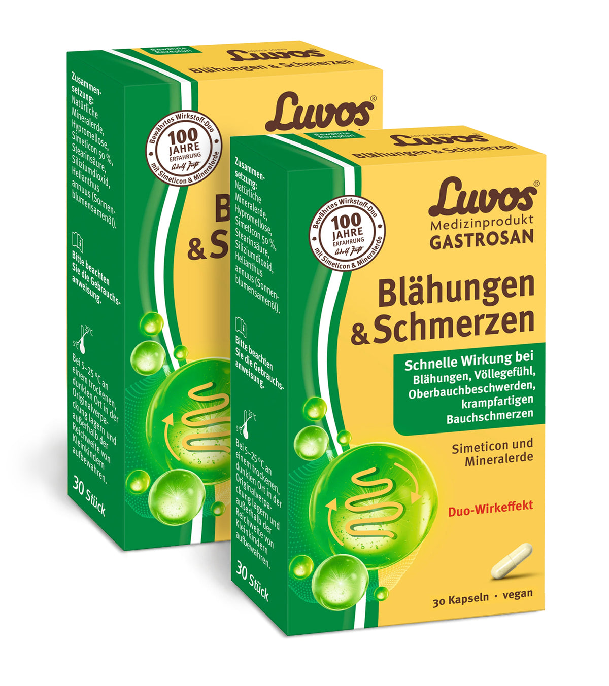 Luvos® Gastrosan Blähungen & Schmerzen Kapseln