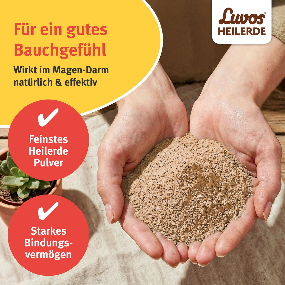 Luvos® Heilerde magenfein Reizdarm Pulver, 380g